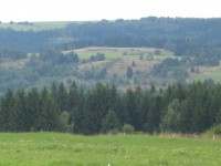 /album/krajina-kde-relaxuji-/slavvkovsky-les-jpg/